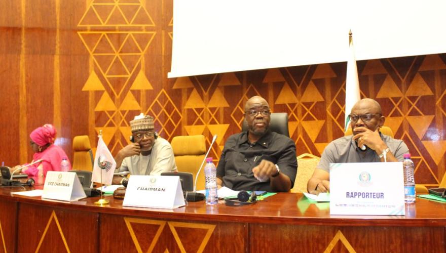 Chairman Snowe Jr. Political Affairs, Peace, Security and APRM 