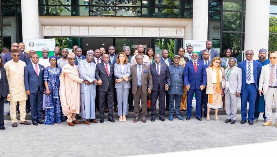 Ecowas Energy Minister 