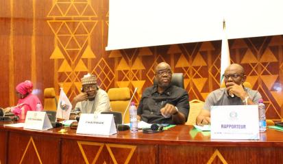 Chairman Snowe Jr. Political Affairs, Peace, Security and APRM 