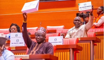 Minority Leader of the Gambian Parliament 